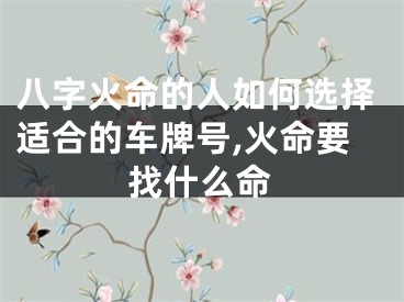 八字火命的人如何选择适合的车牌号,火命要找什么命