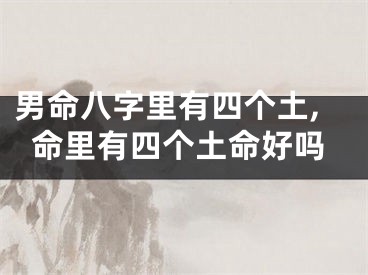 男命八字里有四个土,命里有四个土命好吗