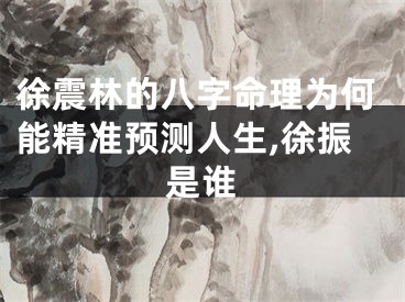 徐震林的八字命理为何能精准预测人生,徐振是谁
