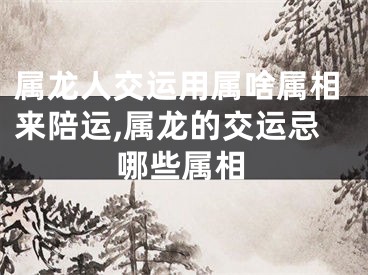 属龙人交运用属啥属相来陪运,属龙的交运忌哪些属相