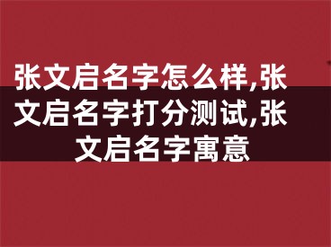 张文启名字怎么样,张文启名字打分测试,张文启名字寓意