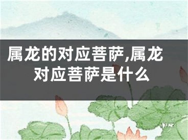 属龙的对应菩萨,属龙对应菩萨是什么