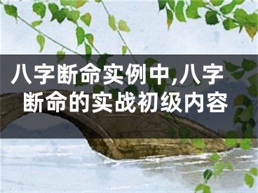 八字断命实例中,八字断命的实战初级内容