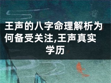 王声的八字命理解析为何备受关注,王声真实学历