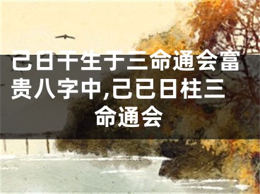 己日干生于三命通会富贵八字中,己已日柱三命通会
