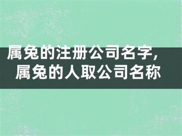属兔的注册公司名字,属兔的人取公司名称