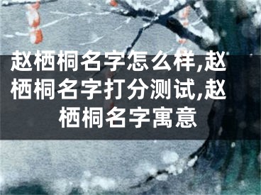 赵栖桐名字怎么样,赵栖桐名字打分测试,赵栖桐名字寓意