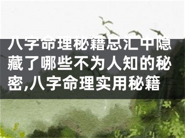 八字命理秘籍总汇中隐藏了哪些不为人知的秘密,八字命理实用秘籍