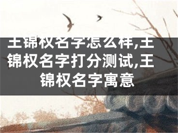 王锦权名字怎么样,王锦权名字打分测试,王锦权名字寓意