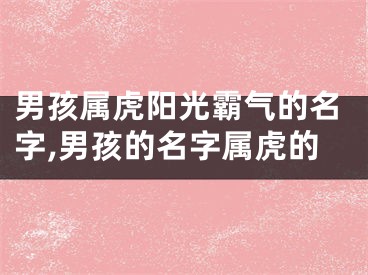 男孩属虎阳光霸气的名字,男孩的名字属虎的