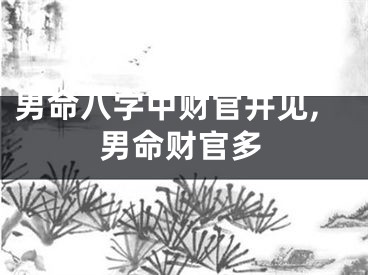 男命八字中财官并见,男命财官多