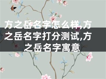 方之岳名字怎么样,方之岳名字打分测试,方之岳名字寓意