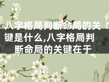 八字格局判断命局的关键是什么,八字格局判断命局的关键在于
