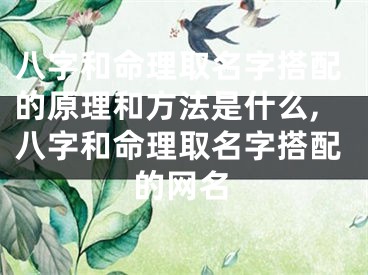 八字和命理取名字搭配的原理和方法是什么,八字和命理取名字搭配的网名