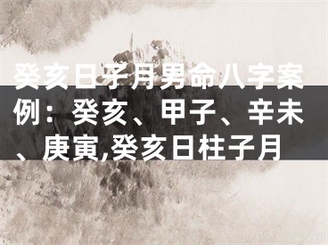 癸亥日子月男命八字案例：癸亥、甲子、辛未、庚寅,癸亥日柱子月