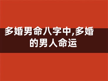 多婚男命八字中,多婚的男人命运