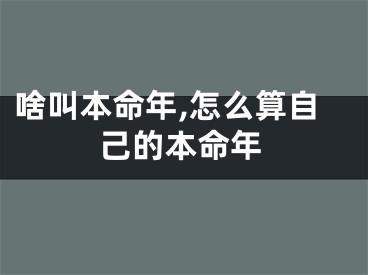 啥叫本命年,怎么算自己的本命年