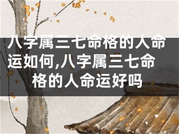八字属三七命格的人命运如何,八字属三七命格的人命运好吗