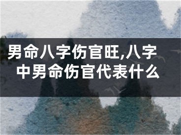男命八字伤官旺,八字中男命伤官代表什么