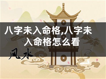 八字未入命格,八字未入命格怎么看