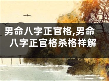男命八字正官格,男命八字正官格杀格祥解