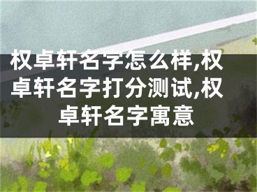 权卓轩名字怎么样,权卓轩名字打分测试,权卓轩名字寓意