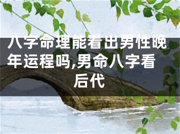八字命理能看出男性晚年运程吗,男命八字看后代