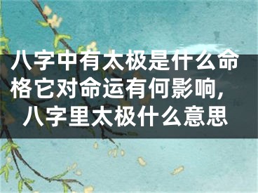 八字中有太极是什么命格它对命运有何影响,八字里太极什么意思
