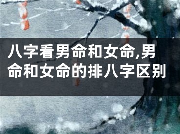 八字看男命和女命,男命和女命的排八字区别