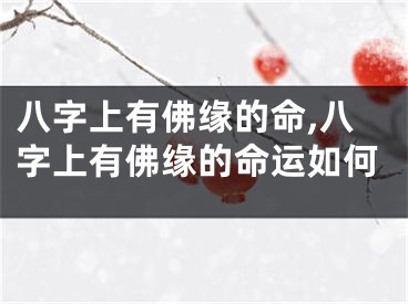 八字上有佛缘的命,八字上有佛缘的命运如何