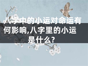 八字中的小运对命运有何影响,八字里的小运是什么?