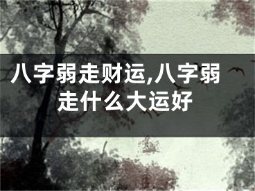 八字弱走财运,八字弱走什么大运好