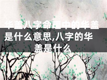 华盖八字命理中的华盖是什么意思,八字的华盖是什么