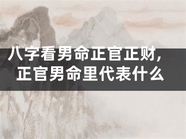 八字看男命正官正财,正官男命里代表什么