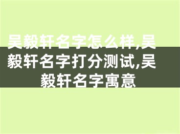 吴毅轩名字怎么样,吴毅轩名字打分测试,吴毅轩名字寓意