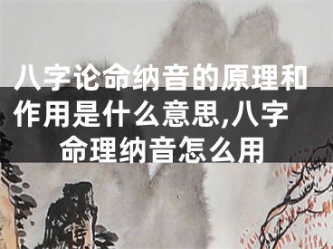 八字论命纳音的原理和作用是什么意思,八字命理纳音怎么用