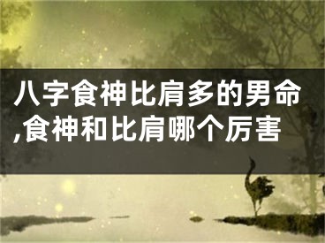 八字食神比肩多的男命,食神和比肩哪个厉害