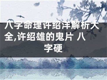 八字命理许绍洋解析大全,许绍雄的鬼片 八字硬