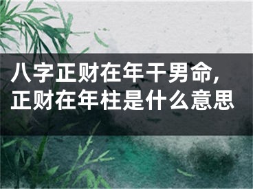 八字正财在年干男命,正财在年柱是什么意思