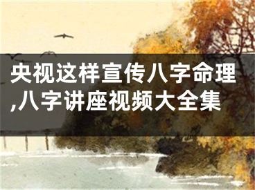 央视这样宣传八字命理,八字讲座视频大全集