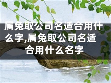 属兔取公司名适合用什么字,属兔取公司名适合用什么名字