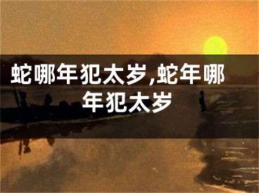蛇哪年犯太岁,蛇年哪年犯太岁
