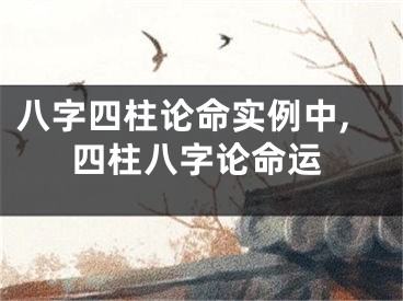 八字四柱论命实例中,四柱八字论命运