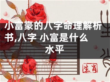 小富豪的八字命理解析书,八字 小富是什么水平