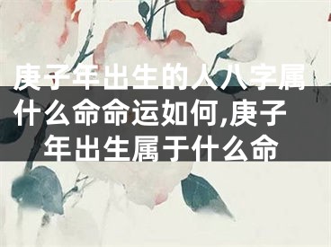 庚子年出生的人八字属什么命命运如何,庚子年出生属于什么命