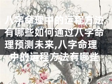 八字命理中的运程方法有哪些如何通过八字命理预测未来,八字命理中的运程方法有哪些
