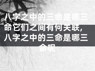八字之中的三命是哪三命它们之间有何关联,八字之中的三命是哪三命呢
