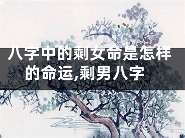 八字中的剩女命是怎样的命运,剩男八字