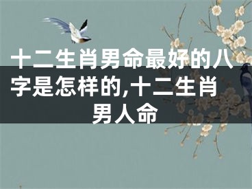 十二生肖男命最好的八字是怎样的,十二生肖男人命