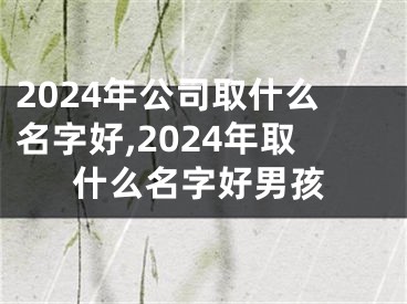 2024年公司取什么名字好,2024年取什么名字好男孩